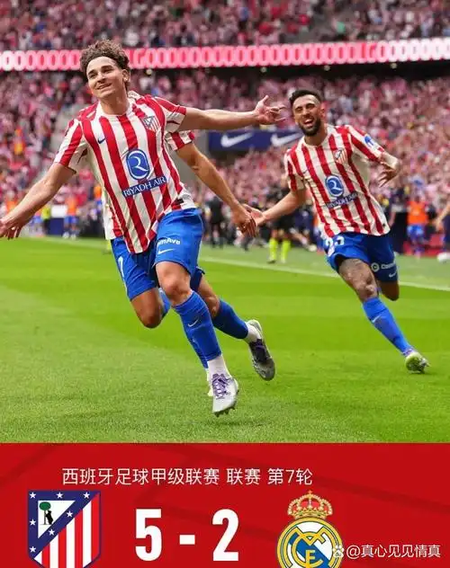 CBA联赛：深圳马可波罗 VS 山东高速
